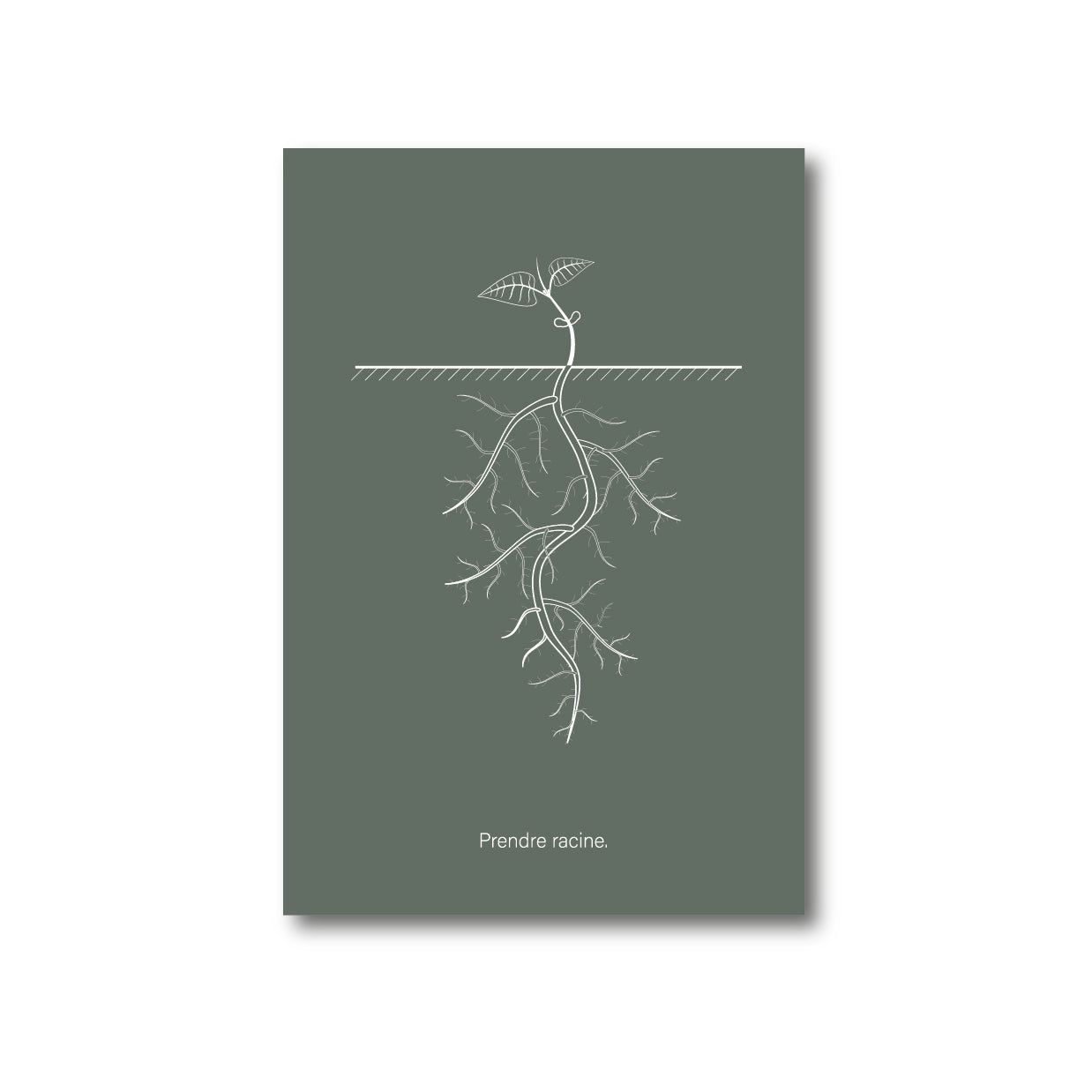 Carte postale "Prendre racines"